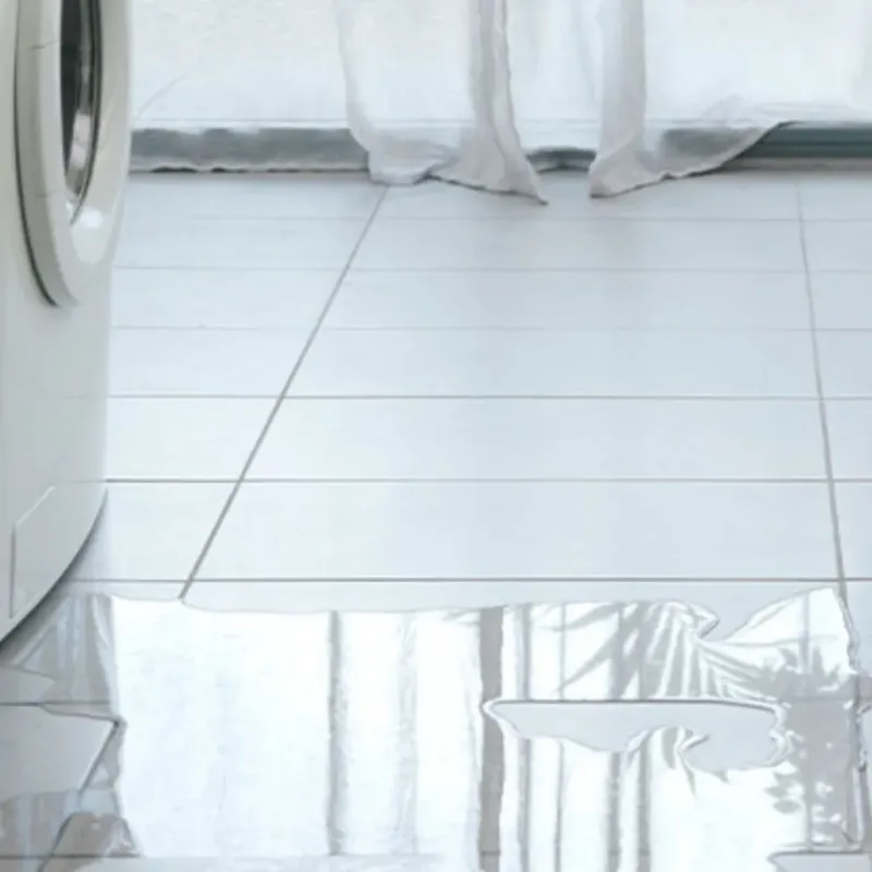 Appliance Leak Cleanup in Eastgate, WA